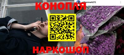 ГАЛЛЮЦИНОГЕННЫЕ ГРИБЫ Гагарин