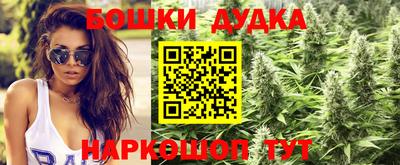 COCAINE Гай