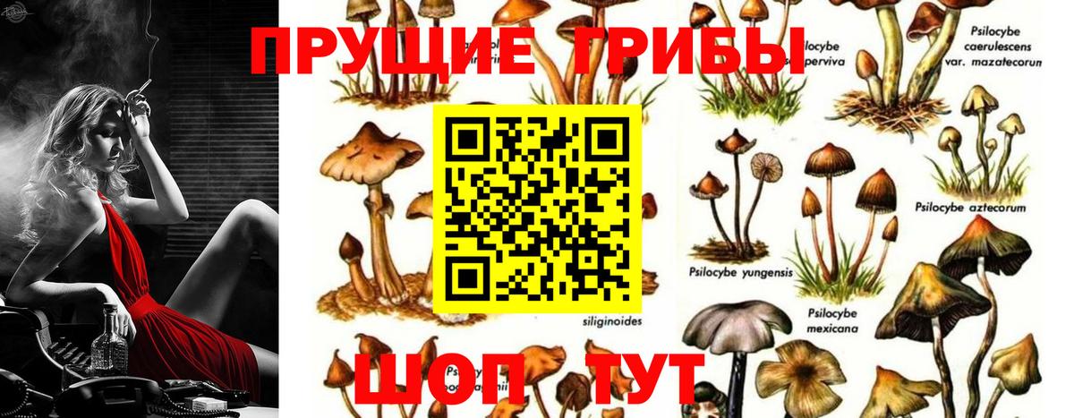 Галлюциногенные грибы мицелий Воронеж